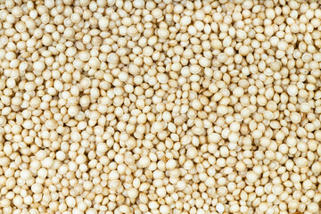 top view of raw amaranth grains