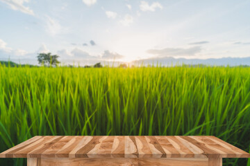 Empty brown wooden table with rice field and blue sky