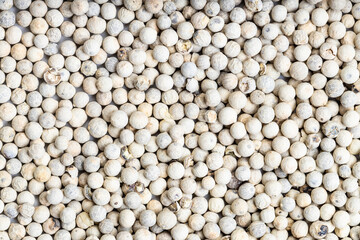background - many white pepper peppercorns