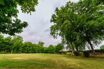 Public park with huge trees and green meadow to rest and walk.