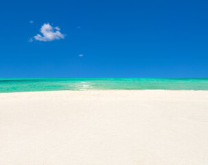 Fototapeta premium tropical Maldives island with white sandy beach and sea