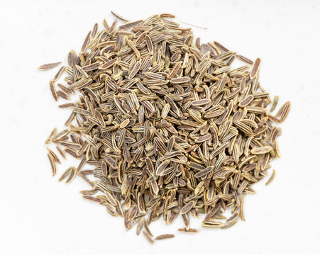 pile of kala zeera (Elwendia persica) seed on gray