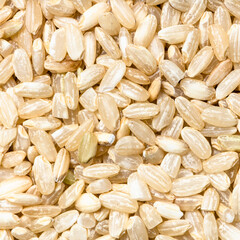 uncooked unpolished brown rice close up