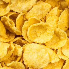 raw sugar-free corn flakes close up