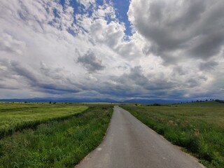 Fototapeta premium Road in the field with clouds