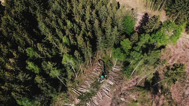 Forest harvester during sawing trees in forest. Forestry tree harvester in woodland on clearing forests. Clearcutting logging industry. Tree cutting machinery and timber equipment. Aerial view