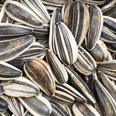 whole sunflower seeds close up