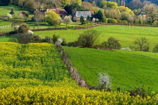 Paysage campagne 943