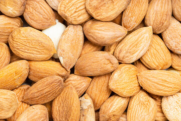 background - many raw apricot kernels