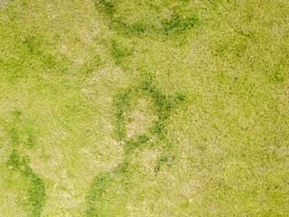 Green meadow. Aerial drone view.
