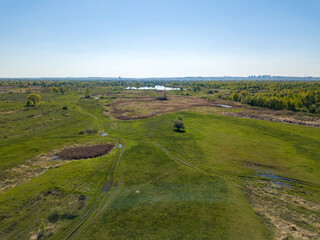 Green meadow. Aerial drone view.