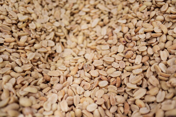 seeds background