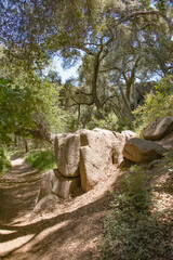 Marshall Canyon Trail, California USA
