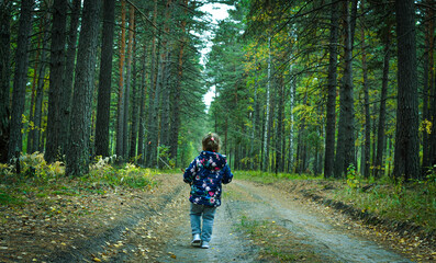 person riding a forest