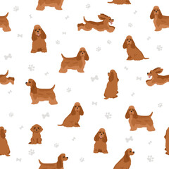 Fototapeta premium American cocker spaniel all colours clipart. Different coat colors set.