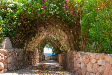 Road to the sea through a tunnel with colorful flowers in Sharm El Sheikh, Egypt