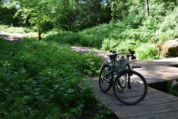 bicycle in the park