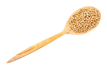 top view of white mustard seeds in wood spoon