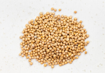 pile of white mustard seeds close up on gray