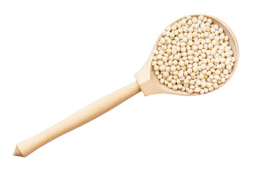 top view of israeli pearl couscous in wood spoon