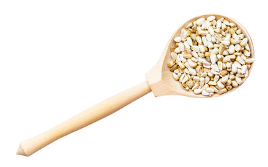 top view of safflower seeds in wood spoon isolated