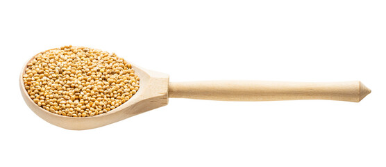 yellow proso millet in wooden spoon isolated