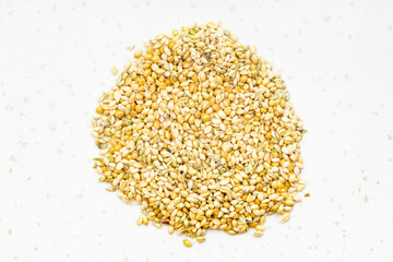 pile of whole-grain foxtail millet seeds on gray