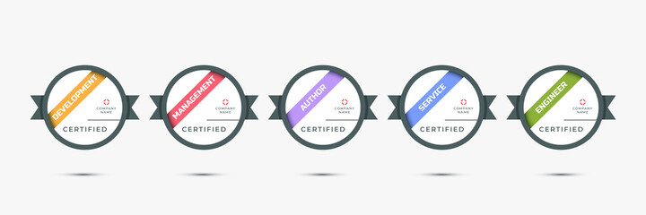 Certification digital skill badge. Modern certified icon logo template. Vector sign emblem illustration.