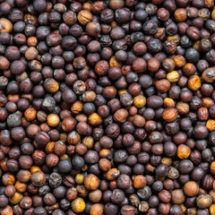 whole-grain rapeseeds close up