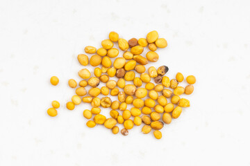 yellow seeds of Sinapis Alba mustard on gray