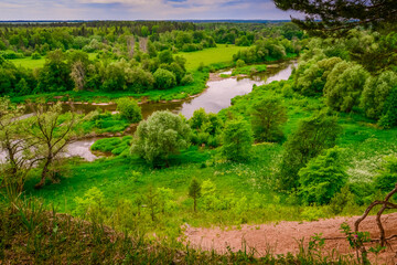 Fototapeta na wymiar summer landscape with a view of the river and the distance 