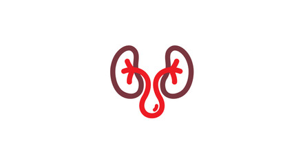 Fototapeta premium Creative Kidney Blood Drop Logo Vector