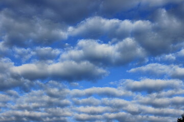 Cloud stripes high in the sky.