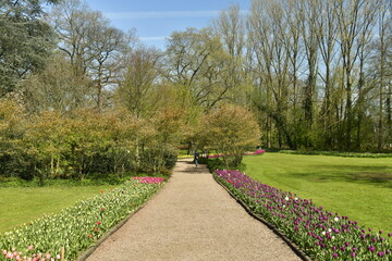Allée entre les parterres de tulipes par milliers ,pelouses au bois du domaine du château de Grand Bigard à l'ouest de Bruxelles
