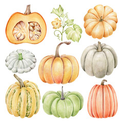 Set of pumpkins.Watercolor pumpkin