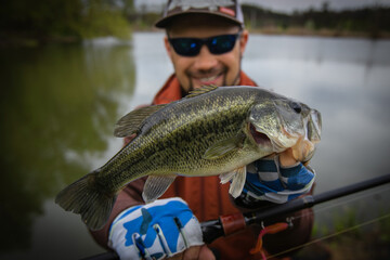 Fishing. Fisherman and trophy Bass fish.