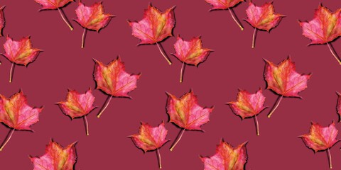 Seamless border, pattern. Watercolor autumn maple leaves on a burgundy background.