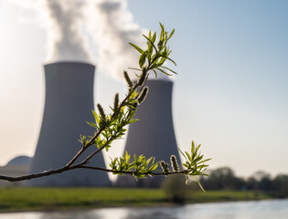 Branch with green leaves  against nuclear power plant.