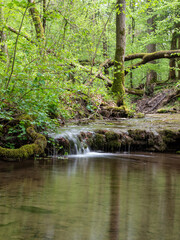 Fototapeta na wymiar Waterfall on stream in forest in Germany