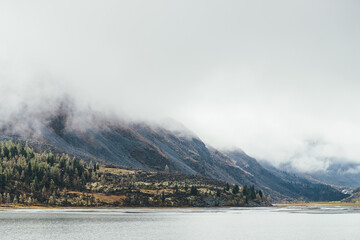 Colorful autumn landscape with coniferous trees with hoarfrost on mossy hill near mountain lake in low clouds. Beautiful trees with frost on hillside near lake and high rocky mountain in low clouds.