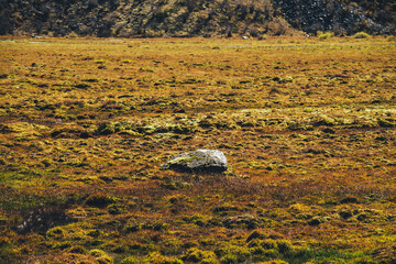 Minimalist scenic autumn landscape with mossy stone among mosses on moss field in golden sunlight...