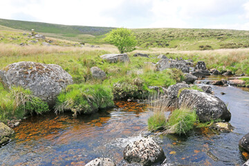 West Dart River in Dartmoor, Devon	