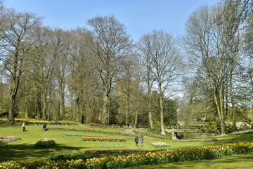 Fototapeta na wymiar Le parc du château de Grand-Bigard avec ses parterres de tulipes