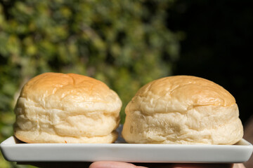 Homemade hamburger bread