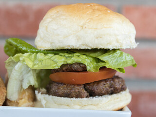 Delicious homemade hamburger 