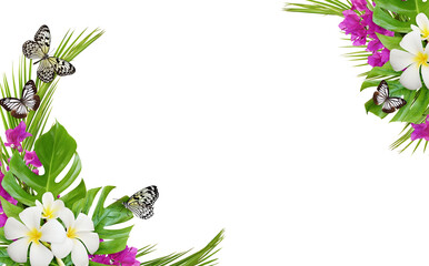 Franfipani flowers and bougainvillea with palm leaves and butterflies in a corner tropical...