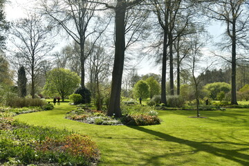 Aménagement paysagère de variété de plantes et d'arbres à l'arboretum de Wespelaar 