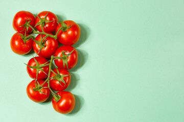 red organic tomatoes on a green branch on a green background