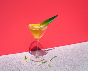 Cocktail 305, a Miami tropical drink
