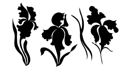 Black silhouette of irises. Vector illustration.